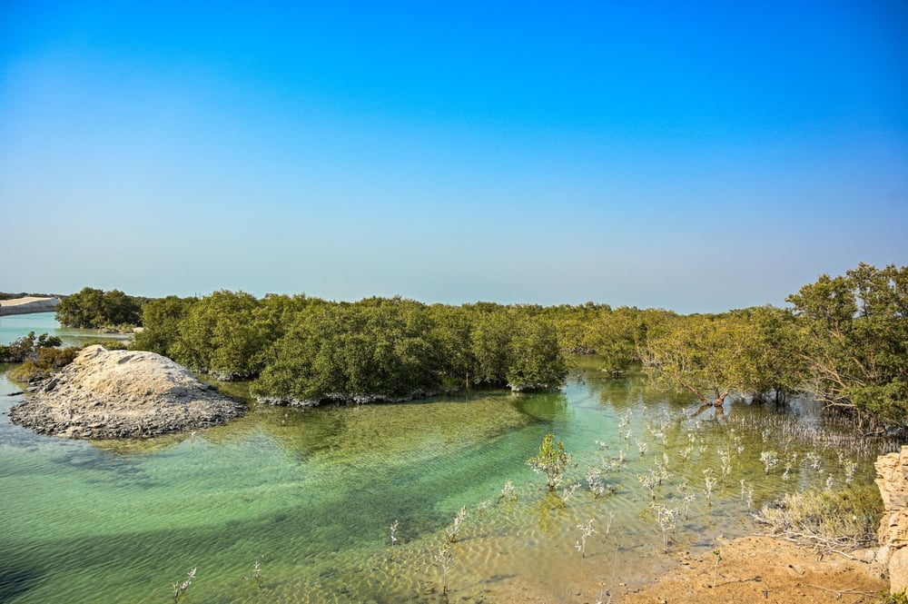 Best Places to Connect with Nature in Abu Dhabi