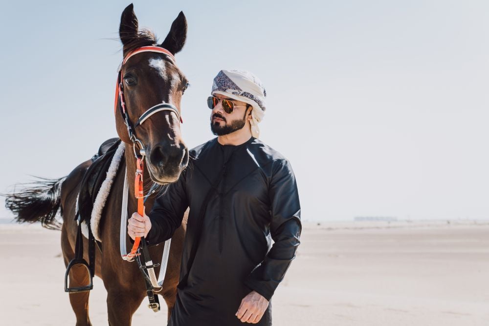 Arabian horse breeding in Abu Dhabi