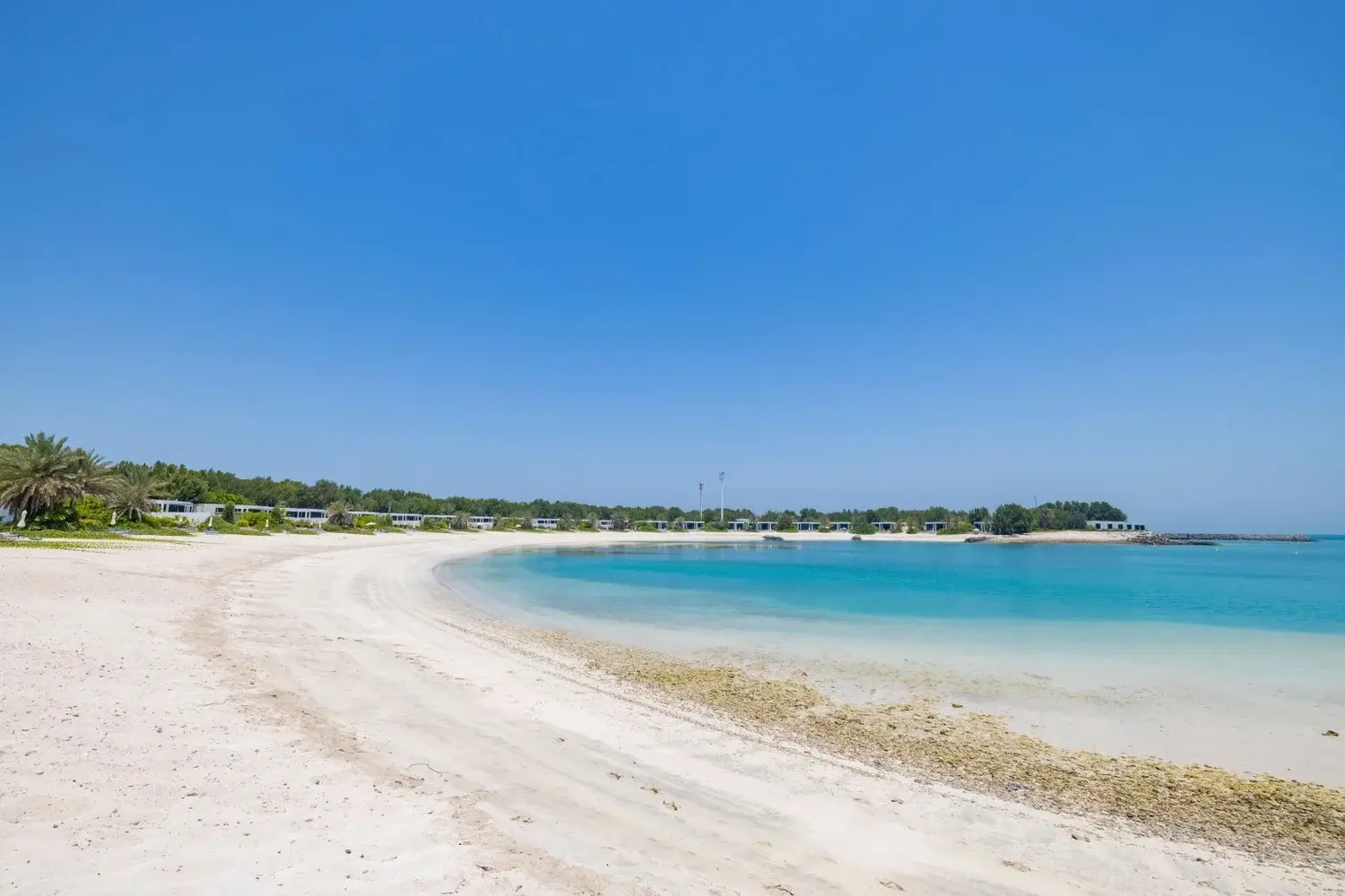 جزر أبوظبي الخاصة .. مساحات ساحرة تجسد التنوع