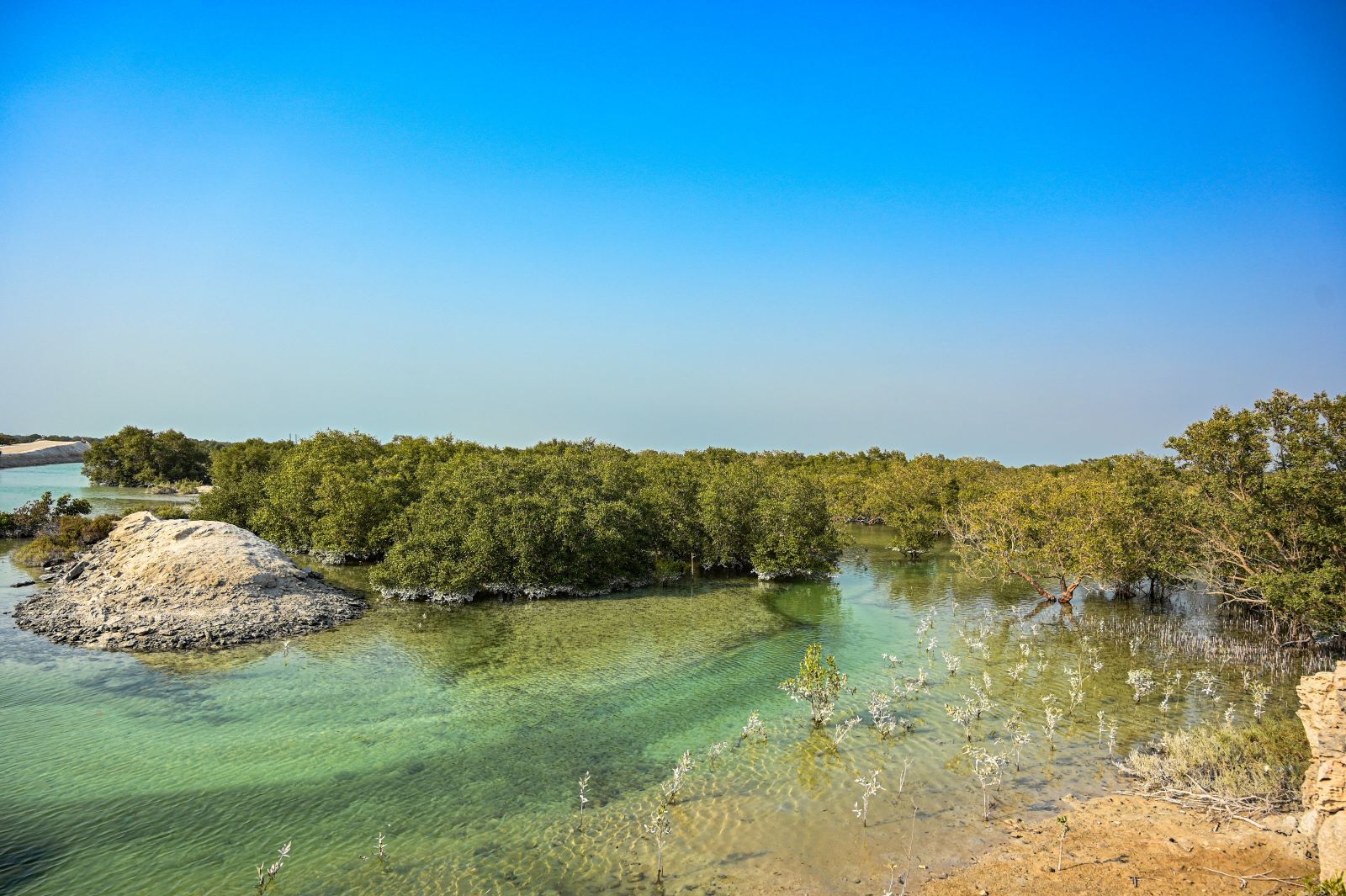 Natural Places to Visit in Abu Dhabi - Where To Connect With The Outdoors