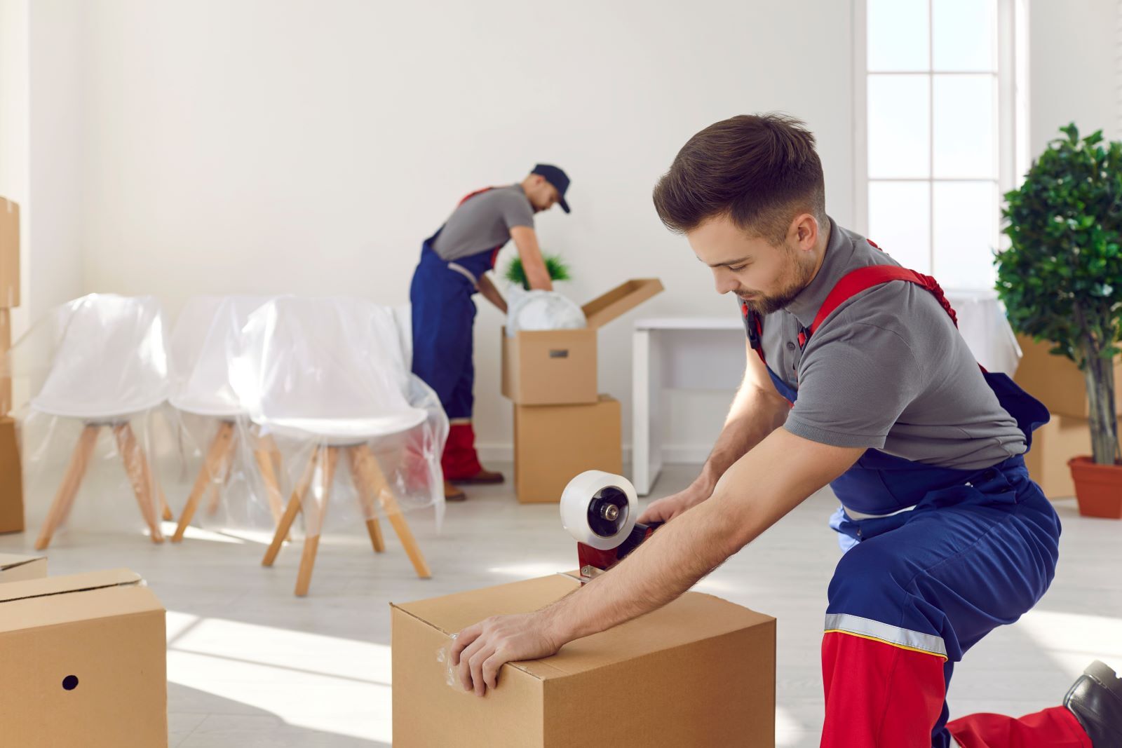The Best Movers in Abu Dhabi