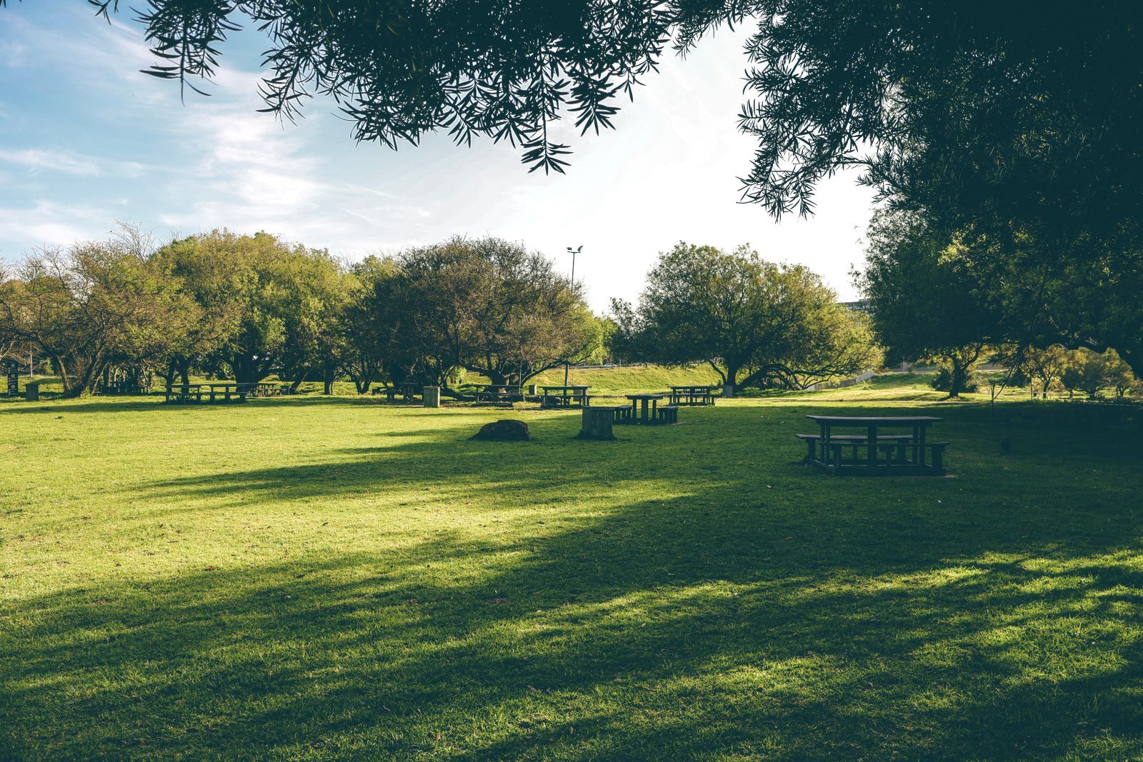 Discover the Best Parks and Green Spaces in Abu Dhabi
