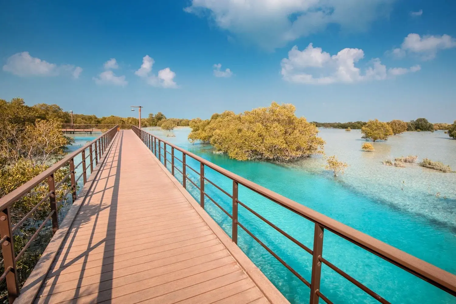 حديقة القرم في جزيرة الجبيل: الأراضي الخصبة في أبوظبي