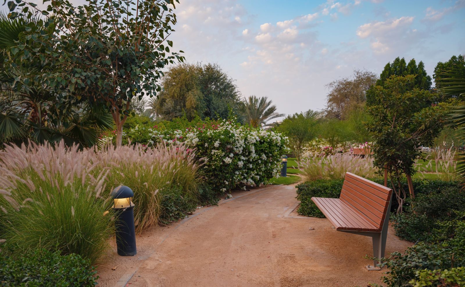 The Best Parks on Reem Island: Green Spaces Redefining Urban Living