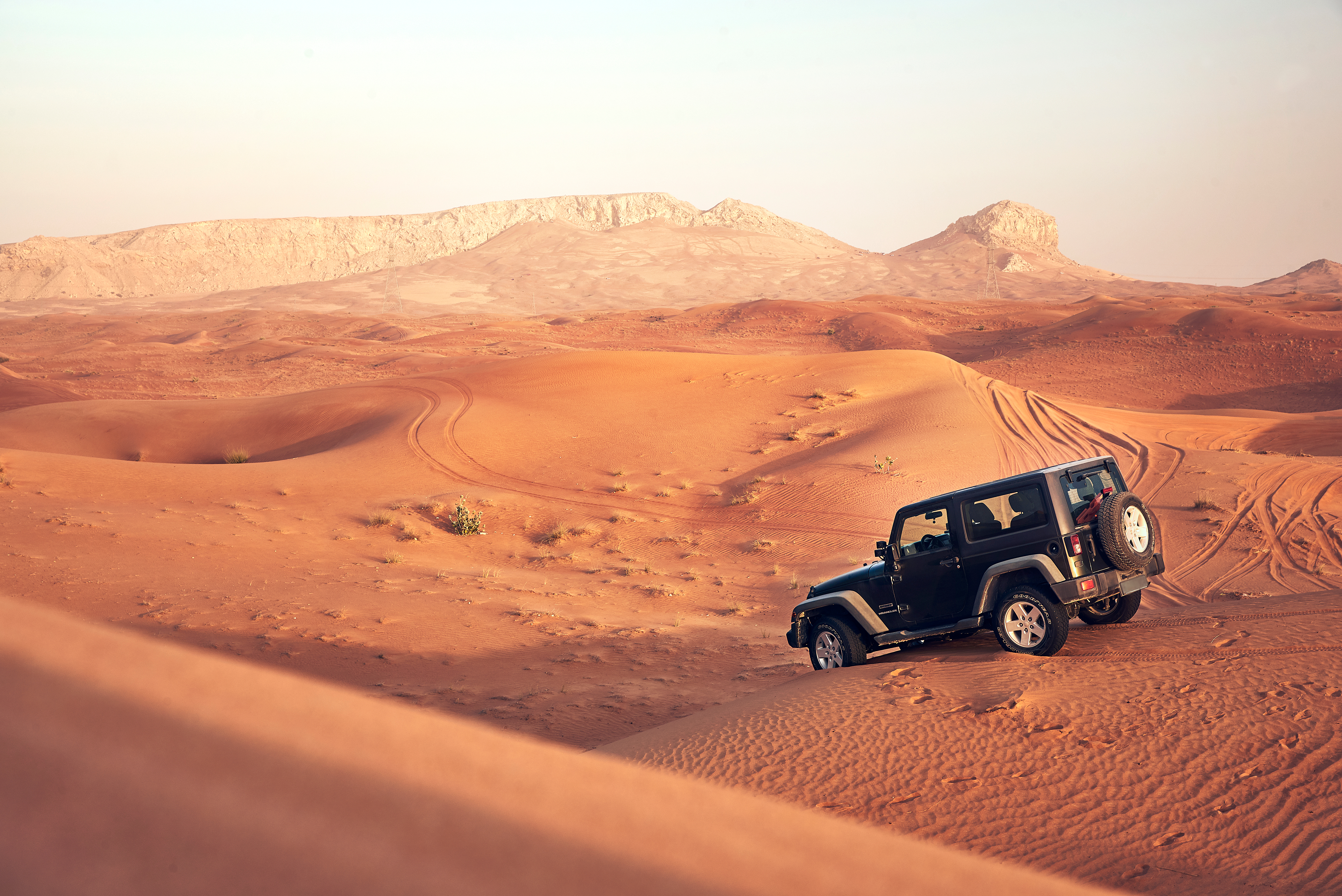Abu Dhabi Outdoor Activities: From Desert Dunes to Island Shores