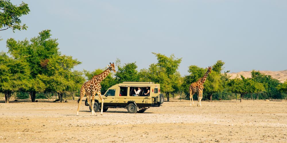 Sir Bani Yas Island Safari: Into Abu Dhabi’s Wild