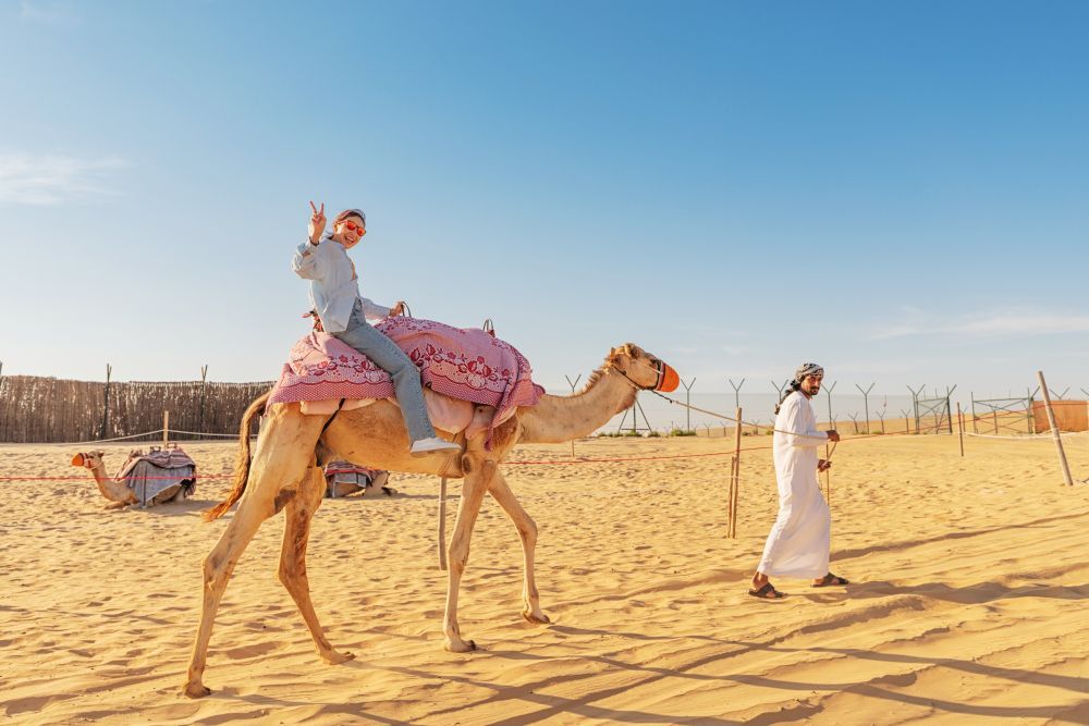 Explore the Best Camel Experiences in Abu Dhabi