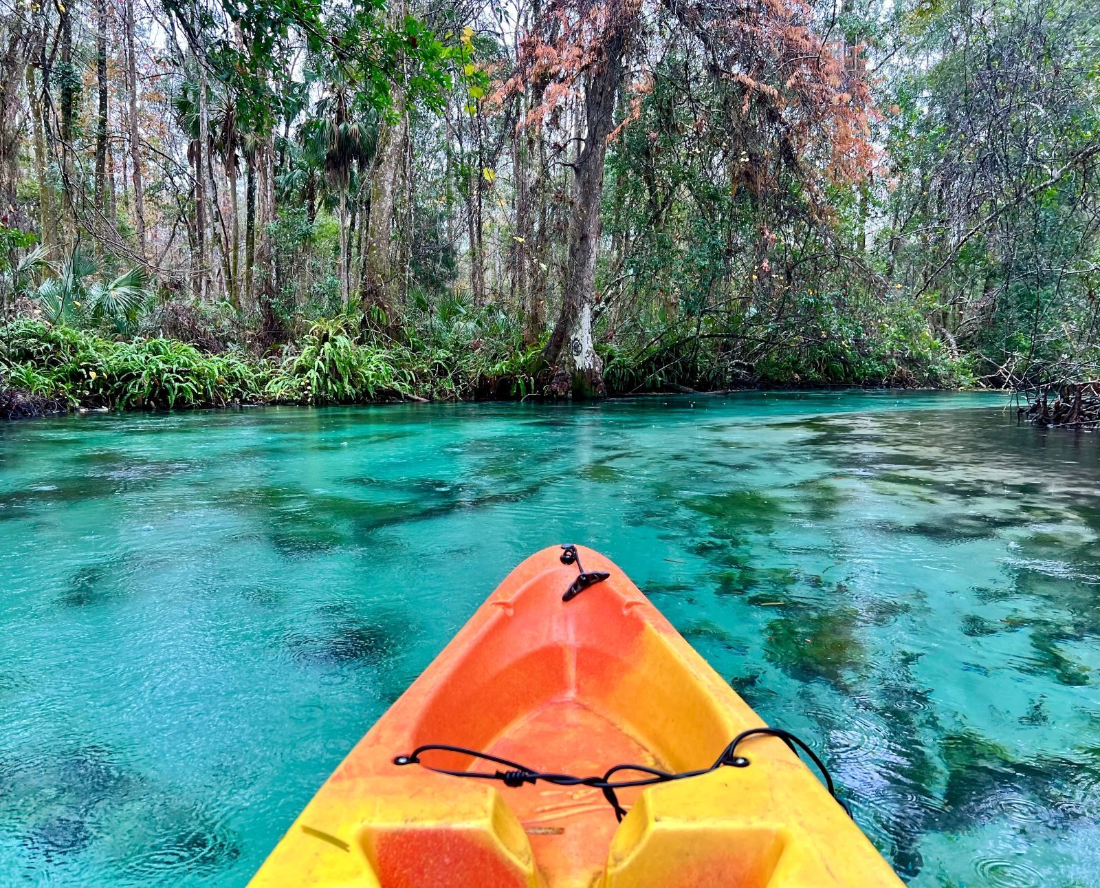 أفضل وجهات رياضة التجديف في أبوظبي