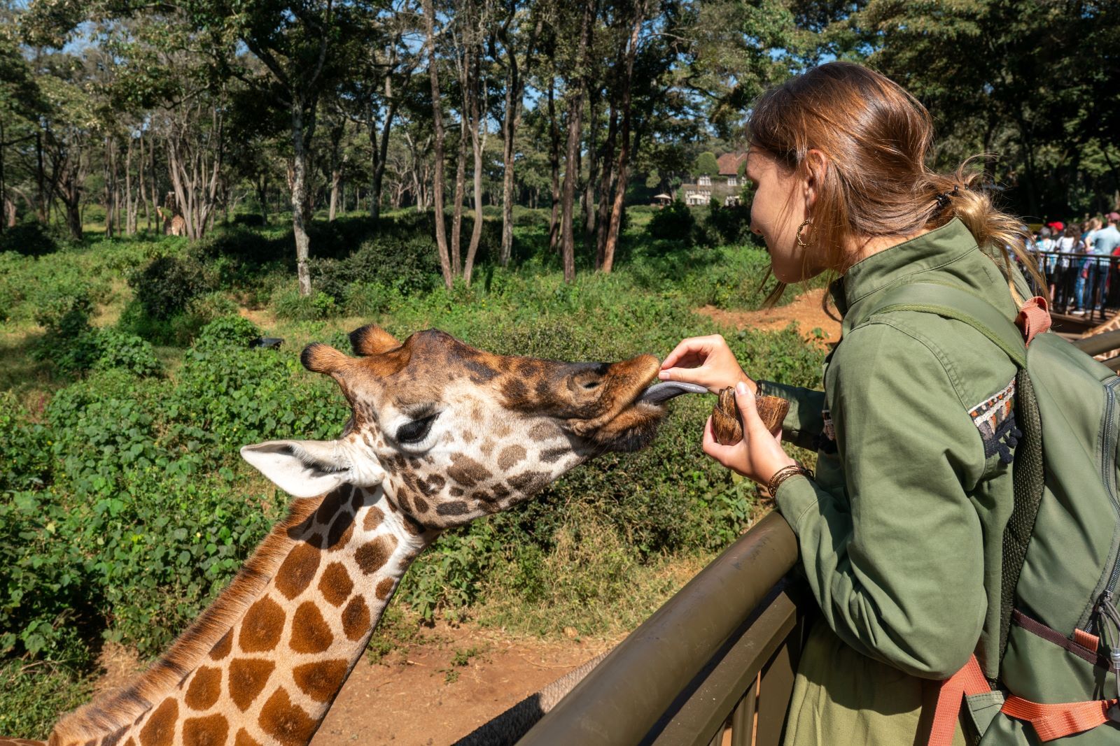 The Best Zoos in Abu Dhabi for Families and Animal Lovers